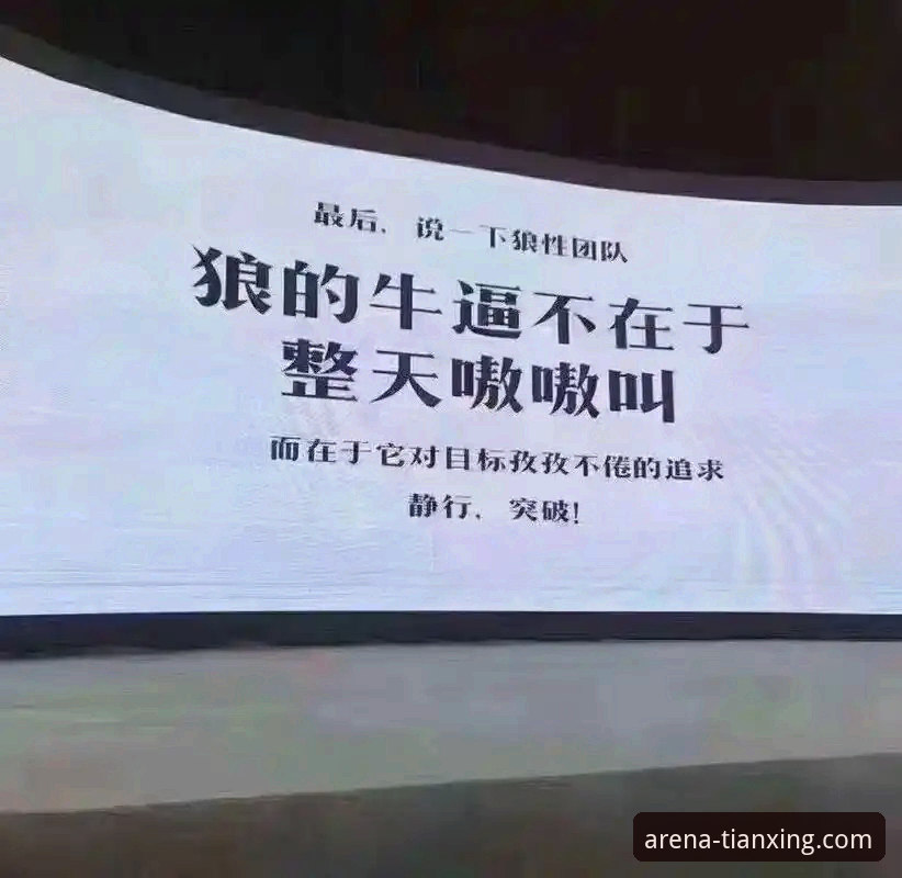 天行体育平台安全性详解：一位资深用户的真实体验报告