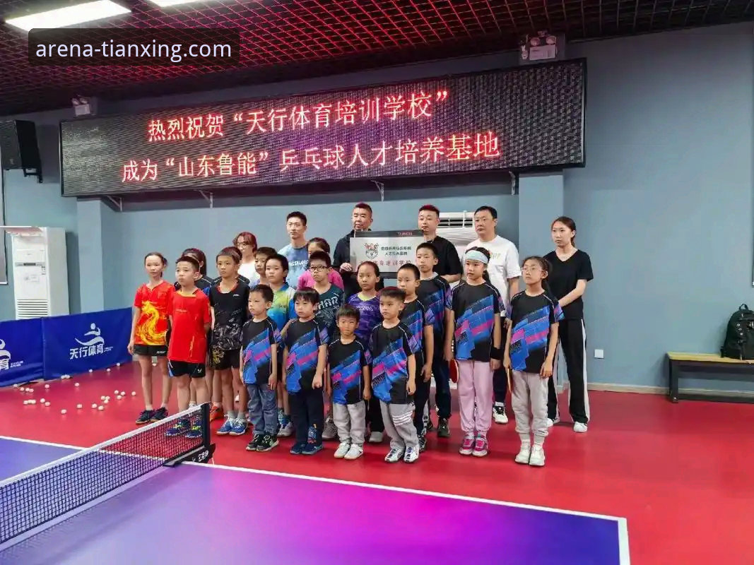 天行体育平台深度评测：官网入口必备指南与实战经验分享