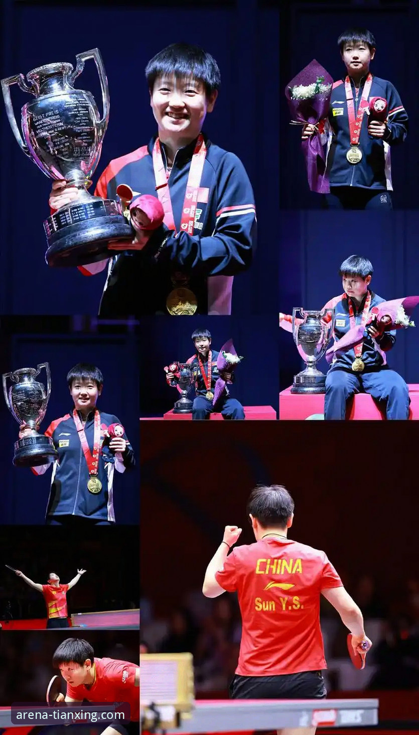 如何从孙颖莎的“开门红”中，洞察顶级赛事的专业分析价值？