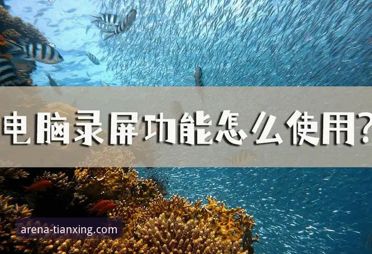 天行体育最新版本下载与功能使用全教程