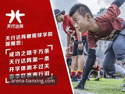 天行体育会员权益详解与高效使用教程